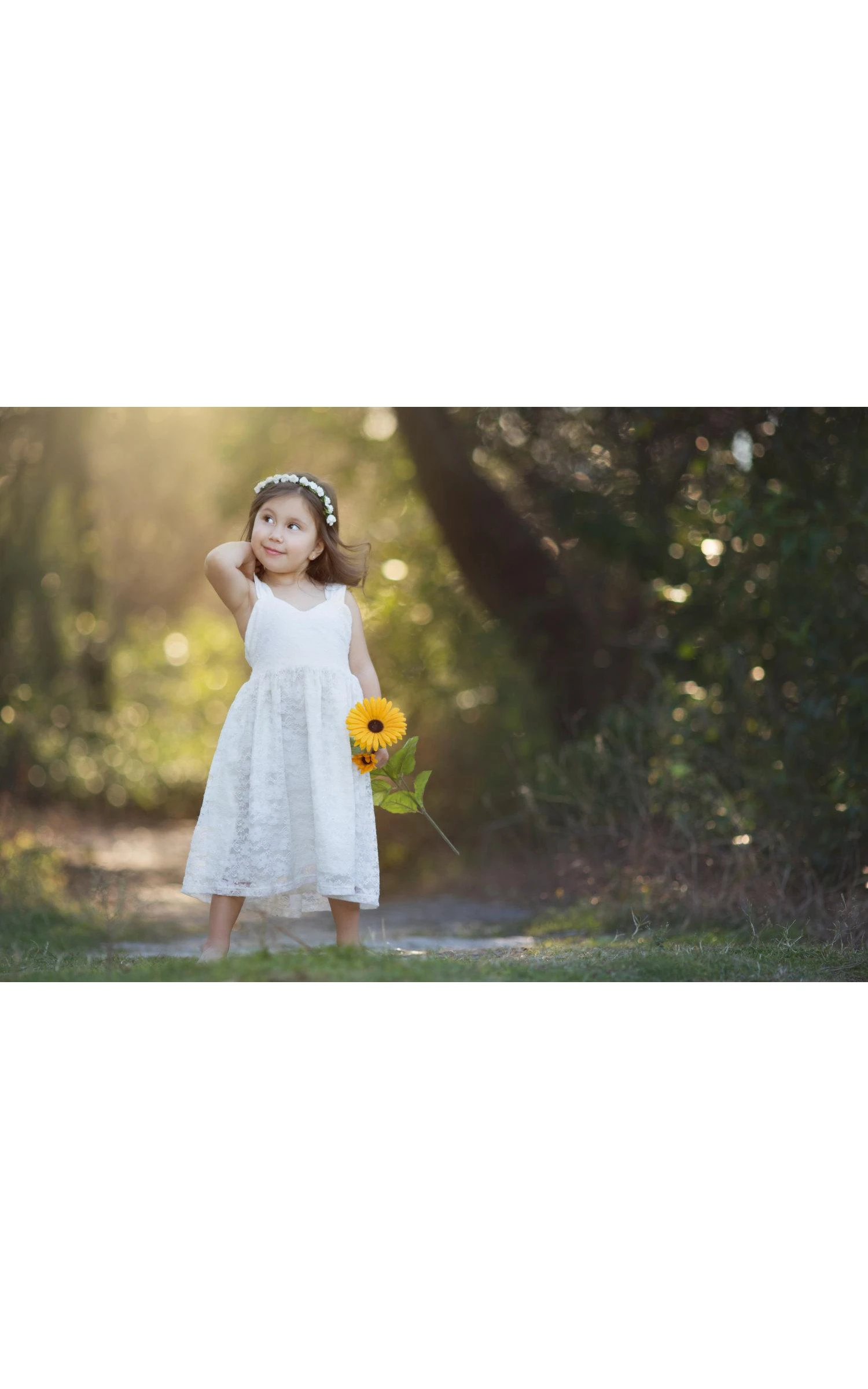 Cap Sleeve V-neck A-line Pleated Lace Dress With Straps Back