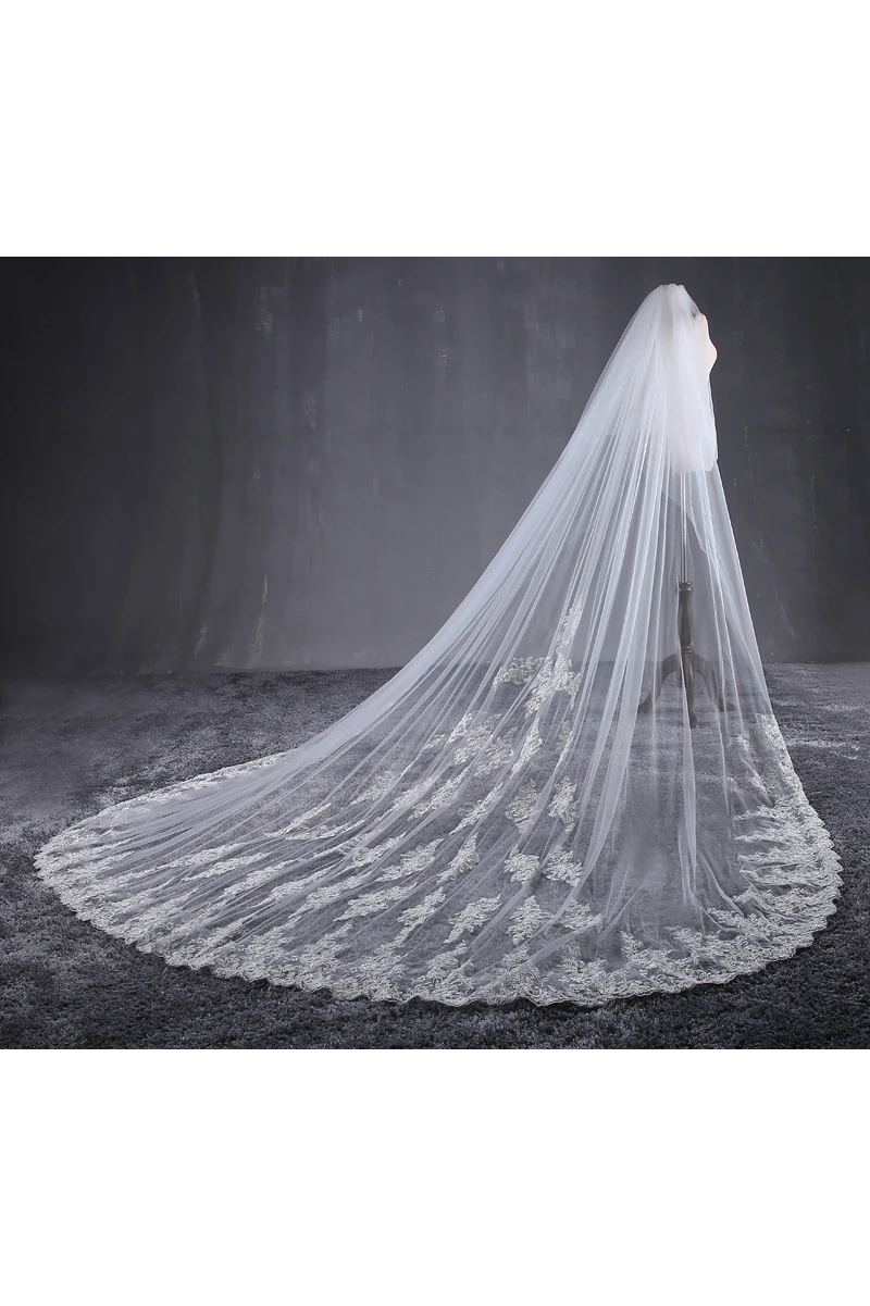 Ethereal Cathedral Tulle Wedding Veil with Lace Appliques
