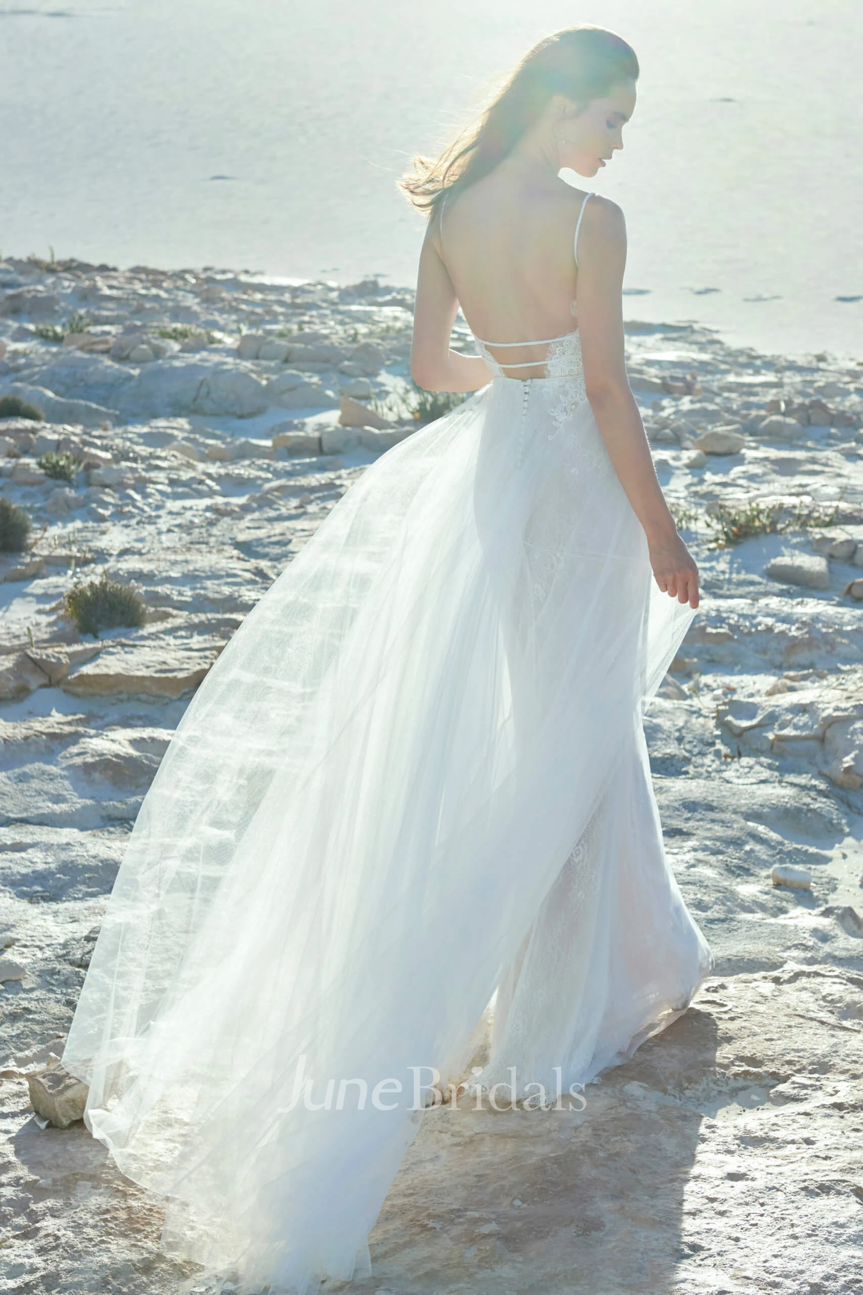 Tulle Spaghetti Plunging Sexy Wedding Dress With Lace Top And Open Back With Straps