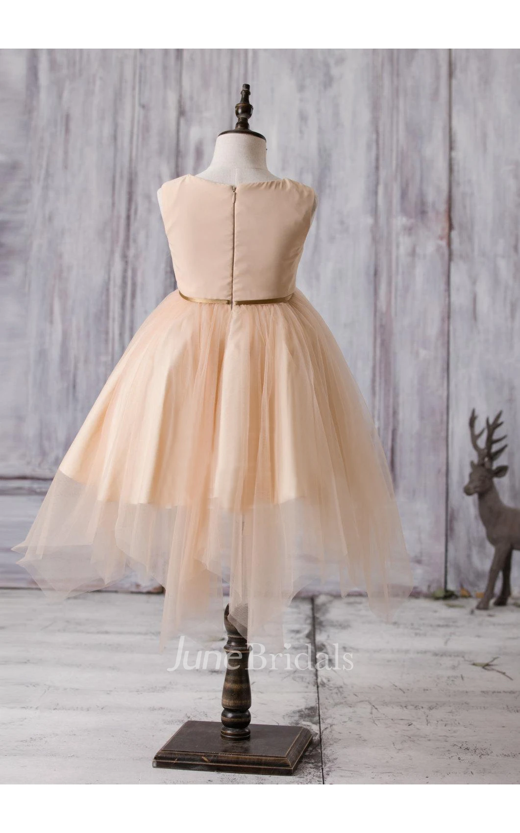 Sleeveless V-neck Flower Applique A-line Tulle Dress