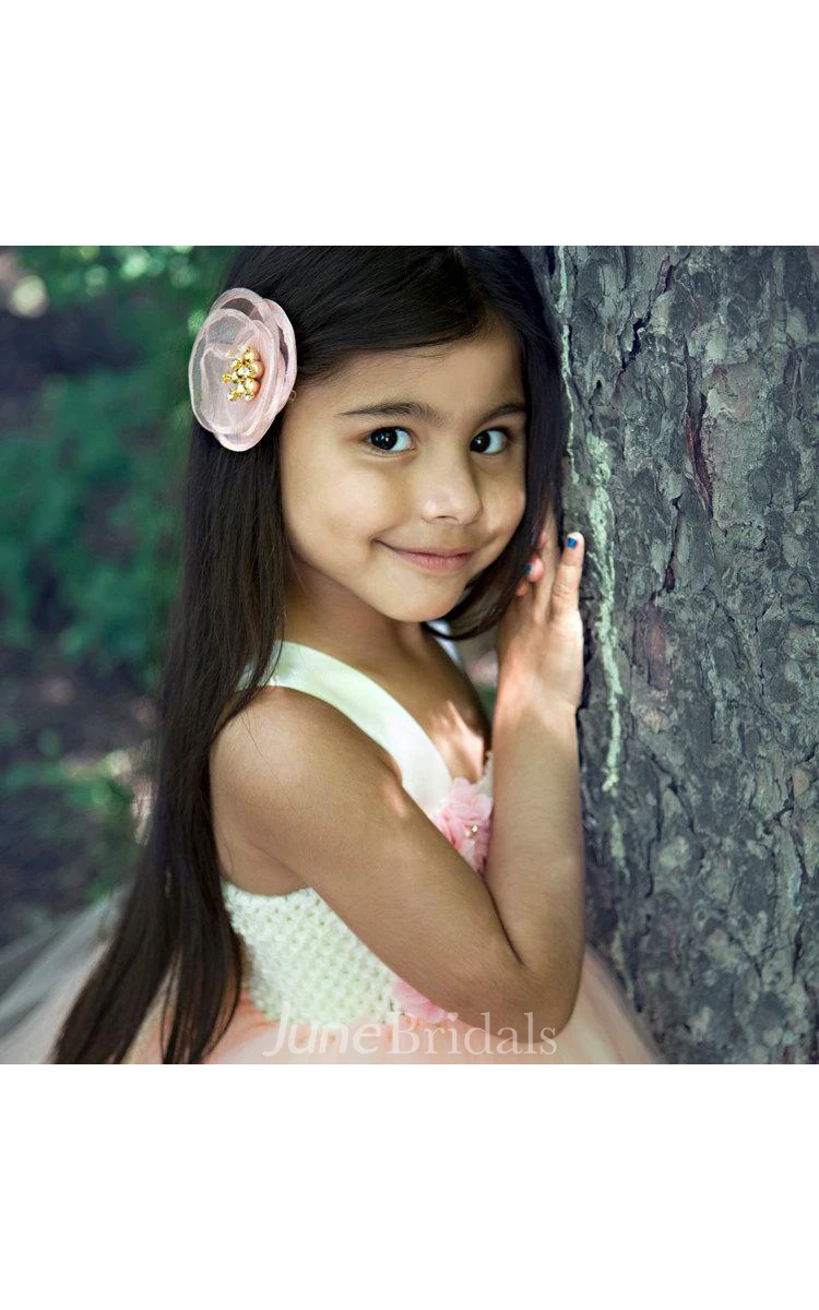 Lovely Blush Flower Bodice Ball Gown Tulle Dress With Bow Back