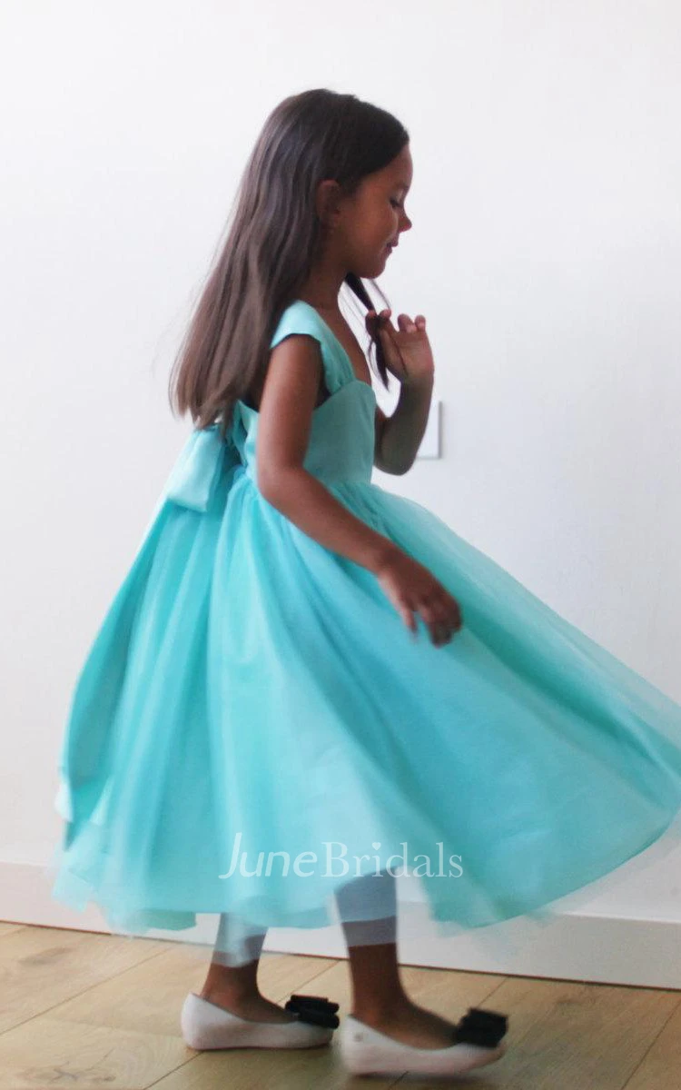 Cap Sleeve V-neck Pleated Tulle Dress With Bow