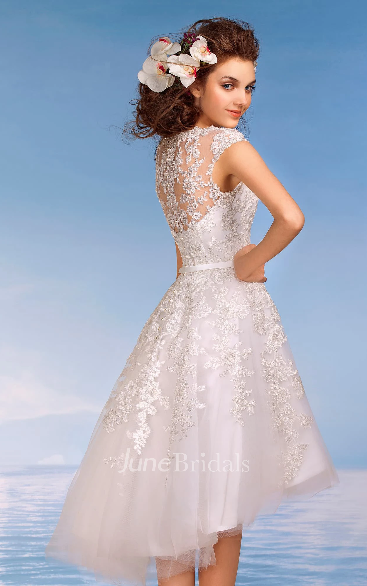 A-Line Knee-Length V-Neck Cap-Sleeve Illusion Lace Dress With Appliques And Pleats