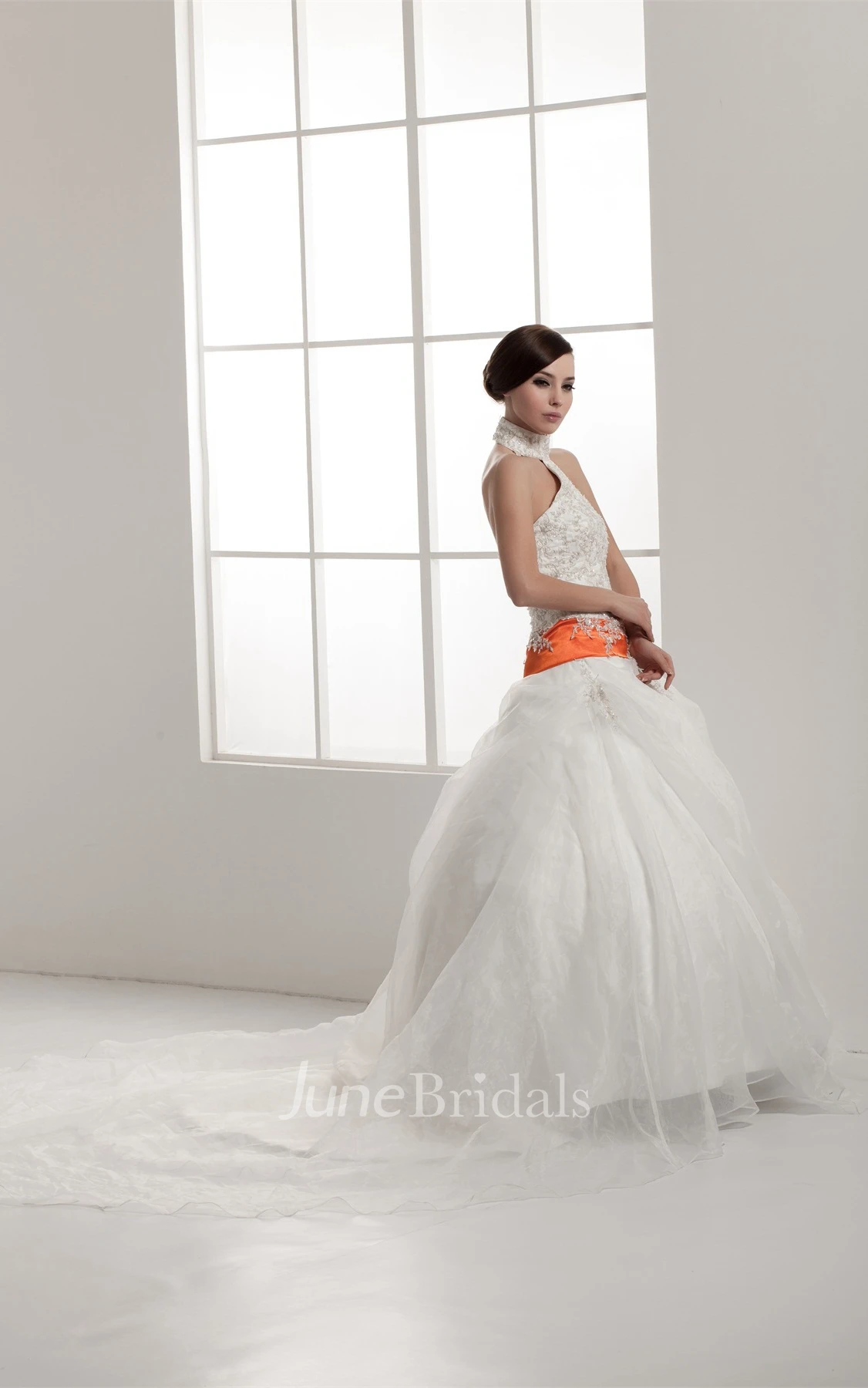 Sleeveless A-Line Pick-Up Gown with Collar and Appliques