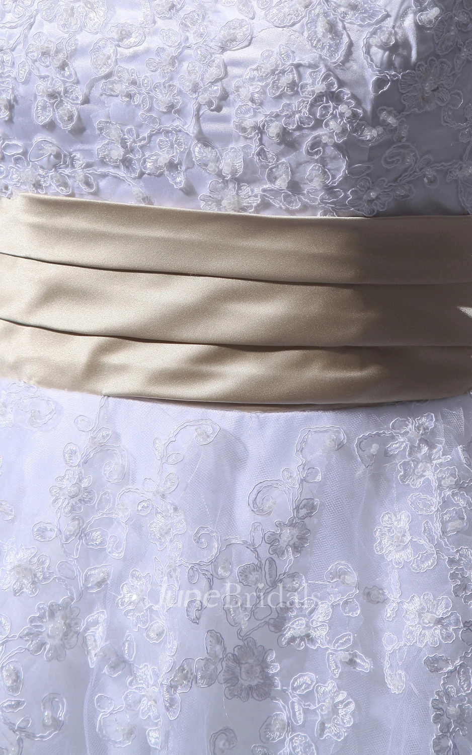 Glam Tea-Length Half-Sleeve Dress With Soft Tulle