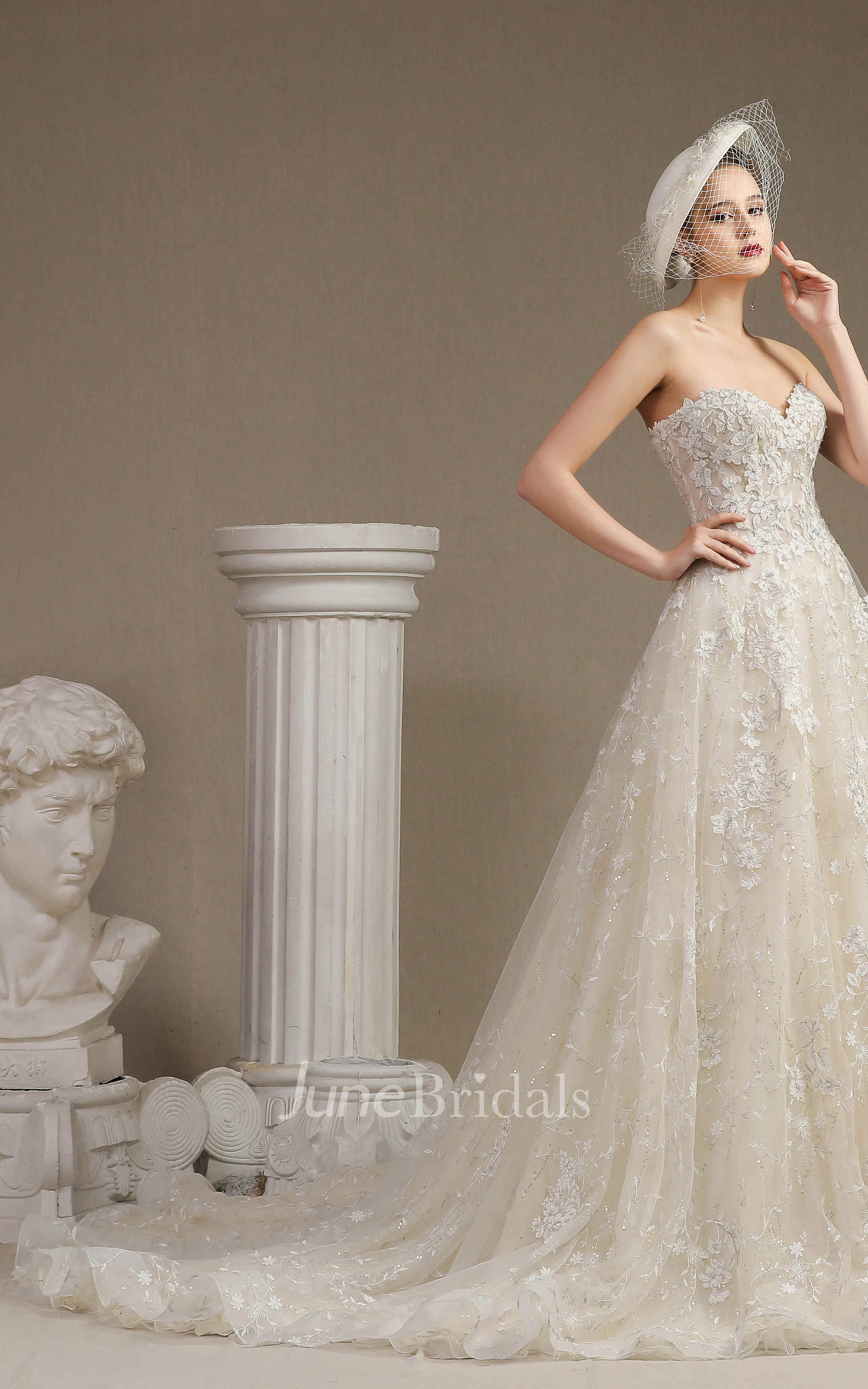 Lace Ballgown Princess Floral Appliqued Sweetheart Sleeveless Wedding Dress With Boning