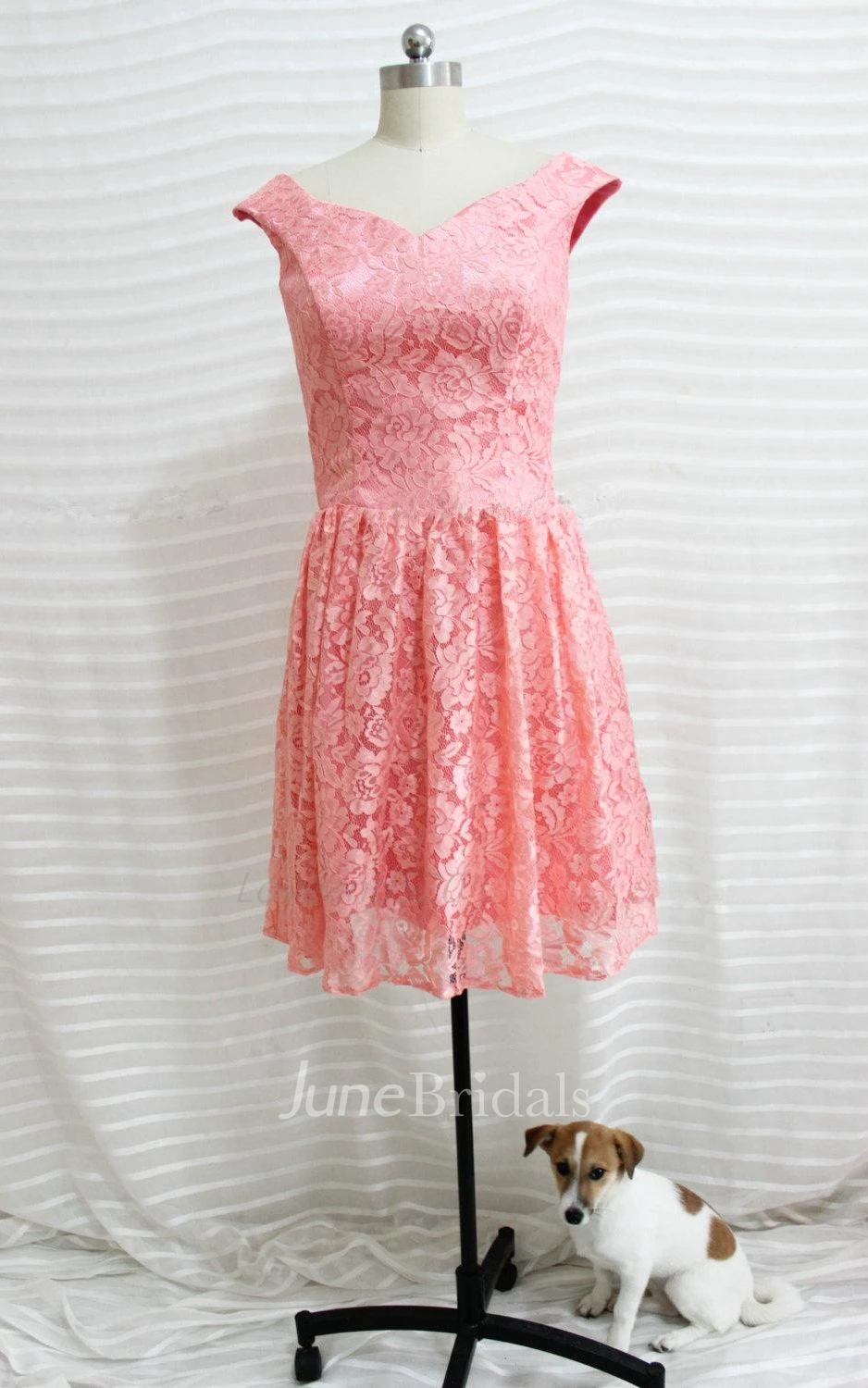 Short Cap-sleeve Lace Dress With Open Back