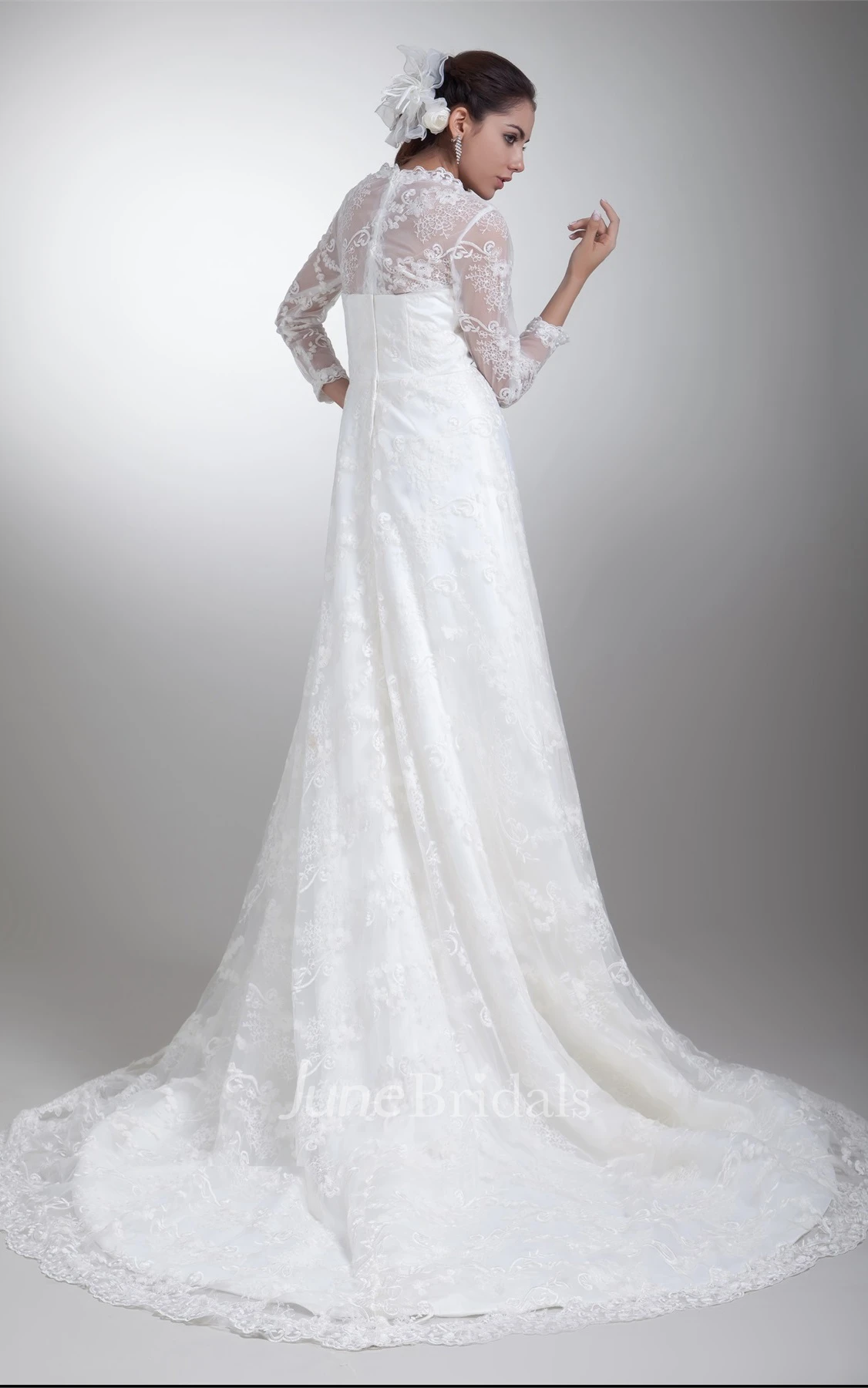 Lace High-Neck A-Line Dress with Illusion Long Sleeve