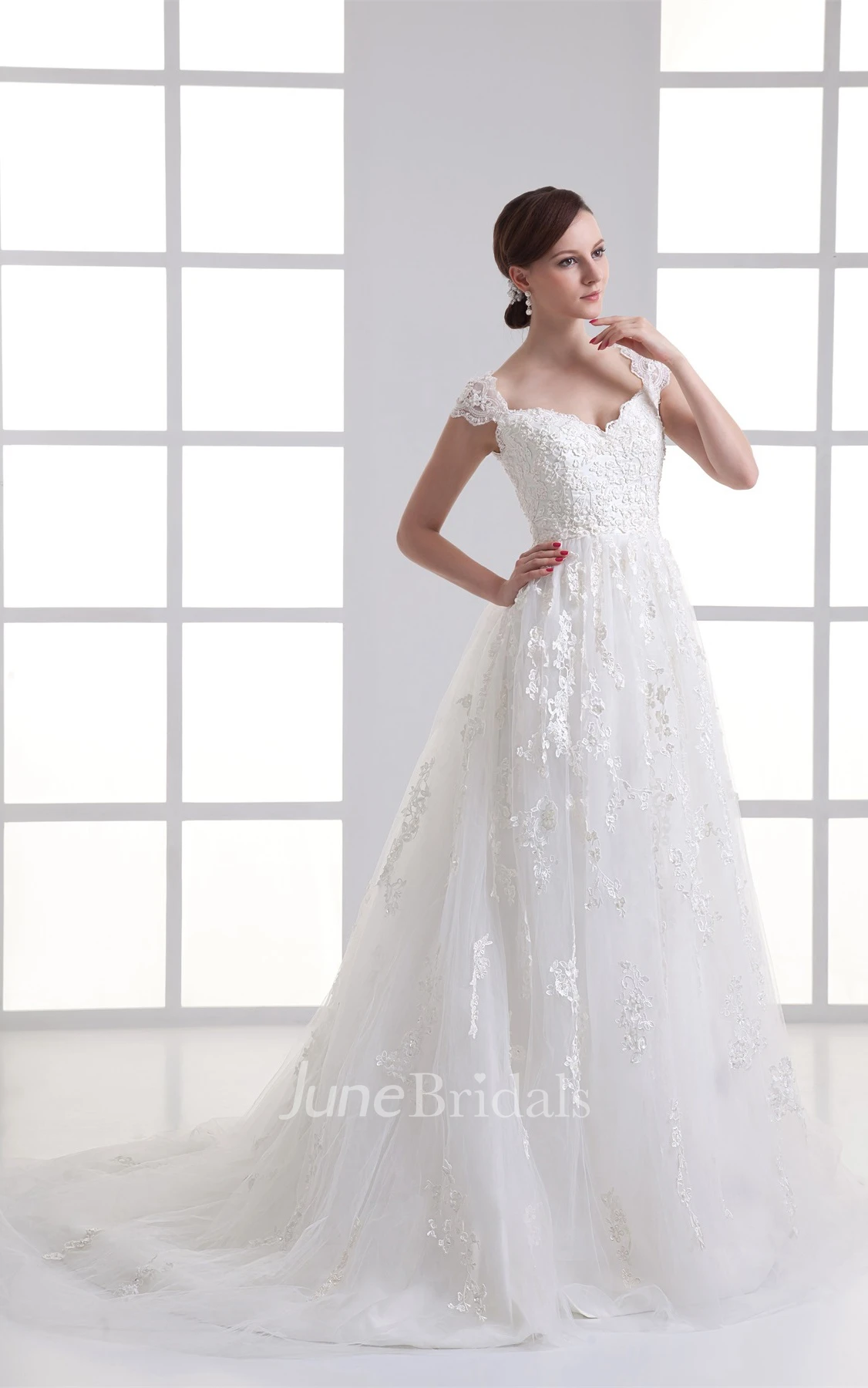 Queen-Anne Lace A-Line Dress with Tulle Overlay