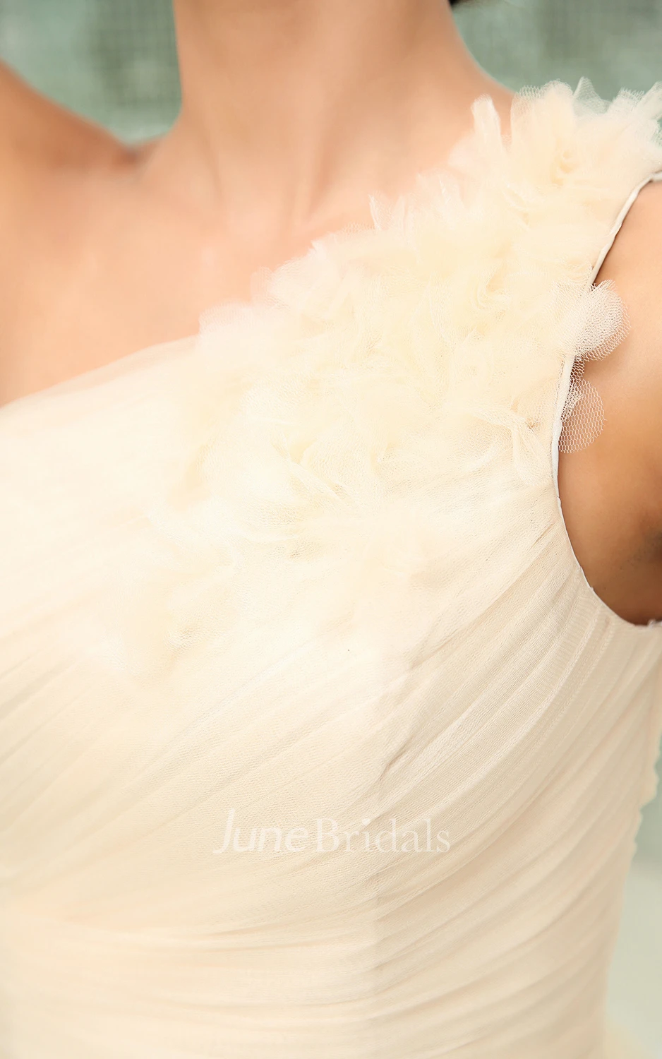 Flaterring Graceful Tulle Asymmetrical One-Shoulder Gown With Petals