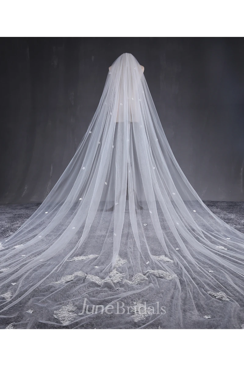 Korean New Style Cathedral Wedding Veil with Lace Edge and Flower Applique