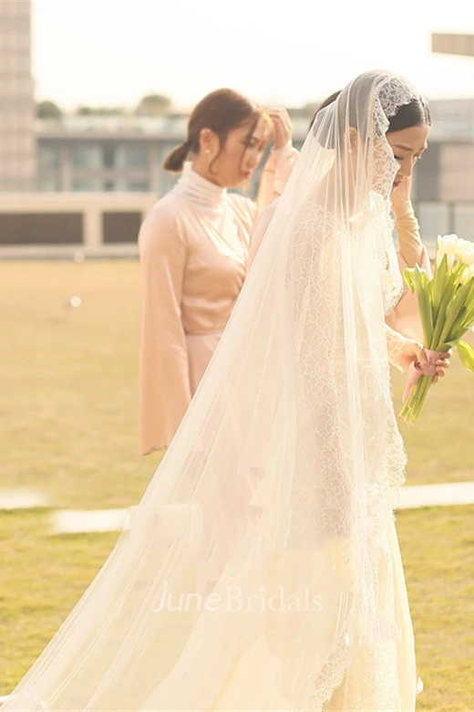 Soft Romantic Tulle Wedding Veil with Lace Edge