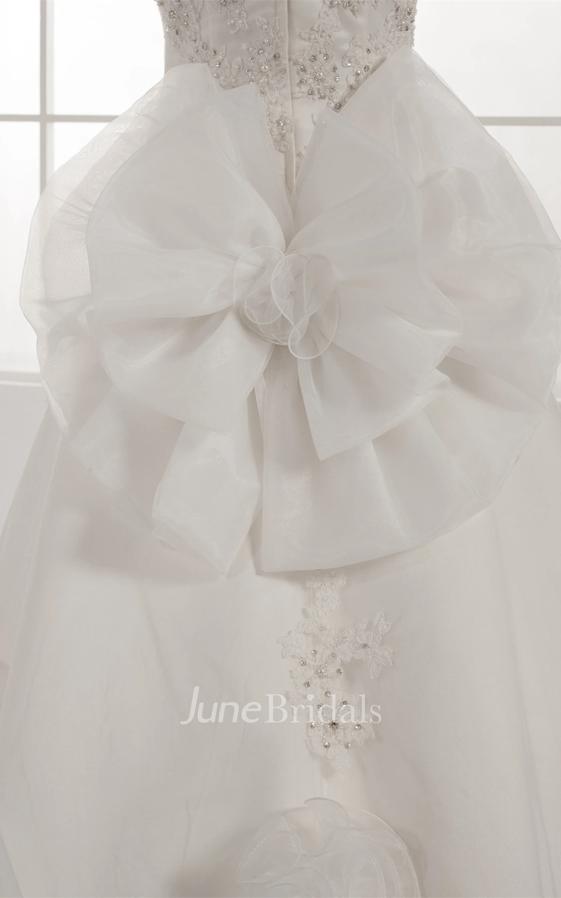 Floral Sleeveless Appliqued Ball Gown with Beading and Illusion