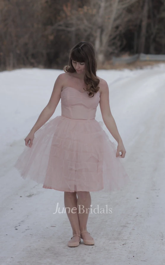 Simple Strapless Knee-length Tulle Dress