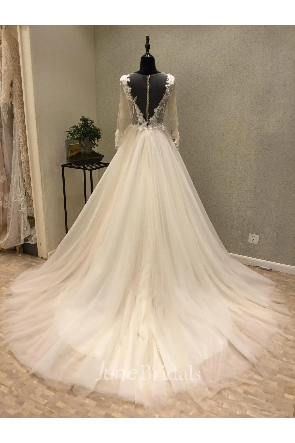 Elegant Floor-Length Sheer Long Sleeve Sexy Appliques Bridal Veil With Court Train