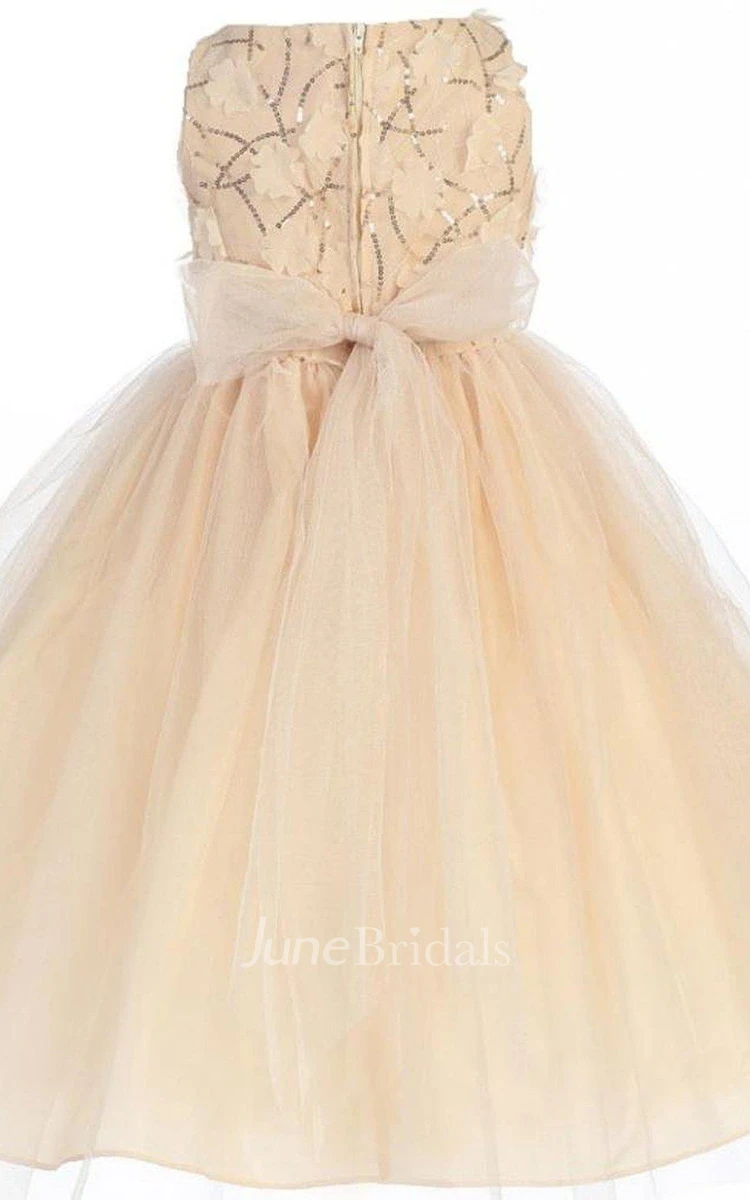 Sleeveless Scoop-neck A-line Dress With Appliques