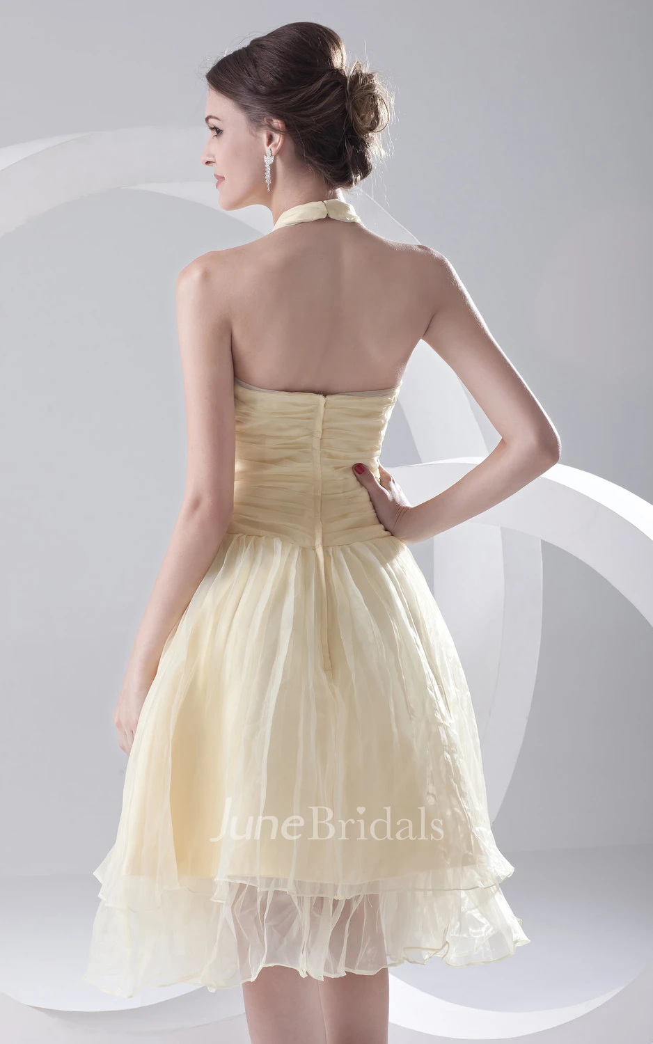 Captivating Organza Dress With Zipper Back And Draping