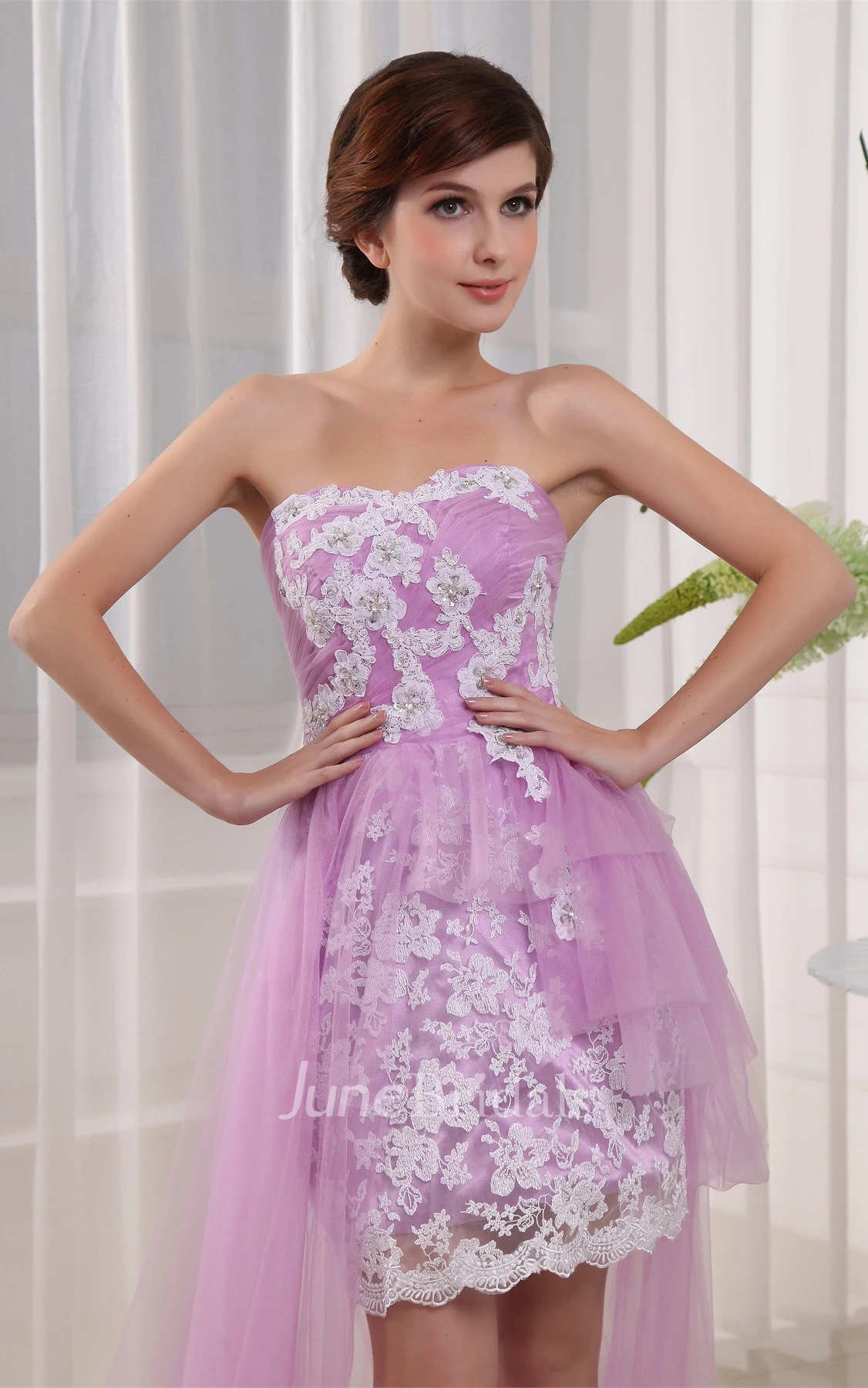 Strapless Tulle Fitted Mini Dress with Appliques