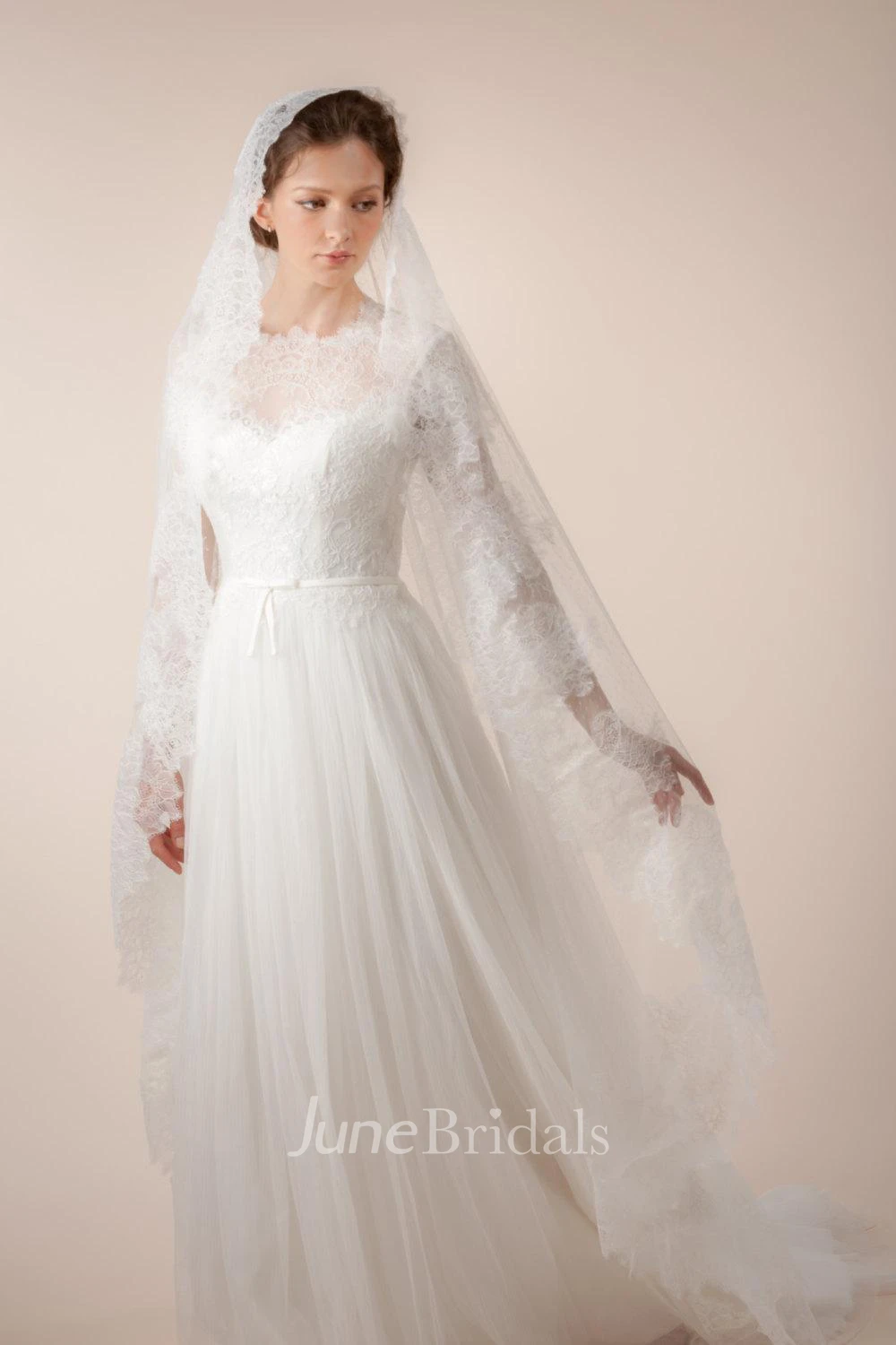 Glamorous Illusion Long Sleeve High Neck Pleated Long Tulle Dress With Sheer Back