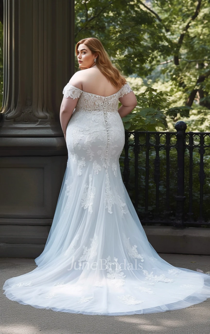 Mermaid Sleeveless Plus Size Lace Tulle Wedding Dress Off-the-shoulder Sexy  Ethereal Romantic Sweep Train - June Bridals