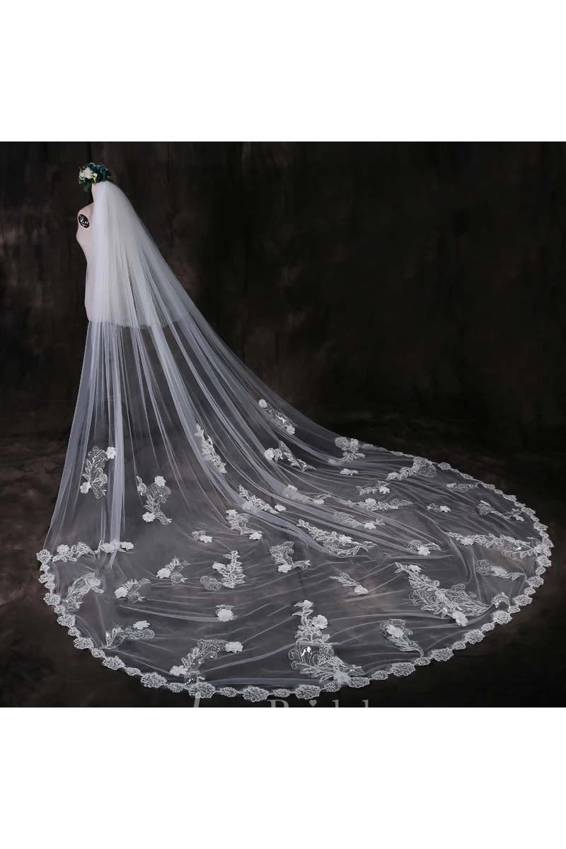 Ethereal Cathedral Tulle Wedding Veil with Lace Edge and Flower Appliques