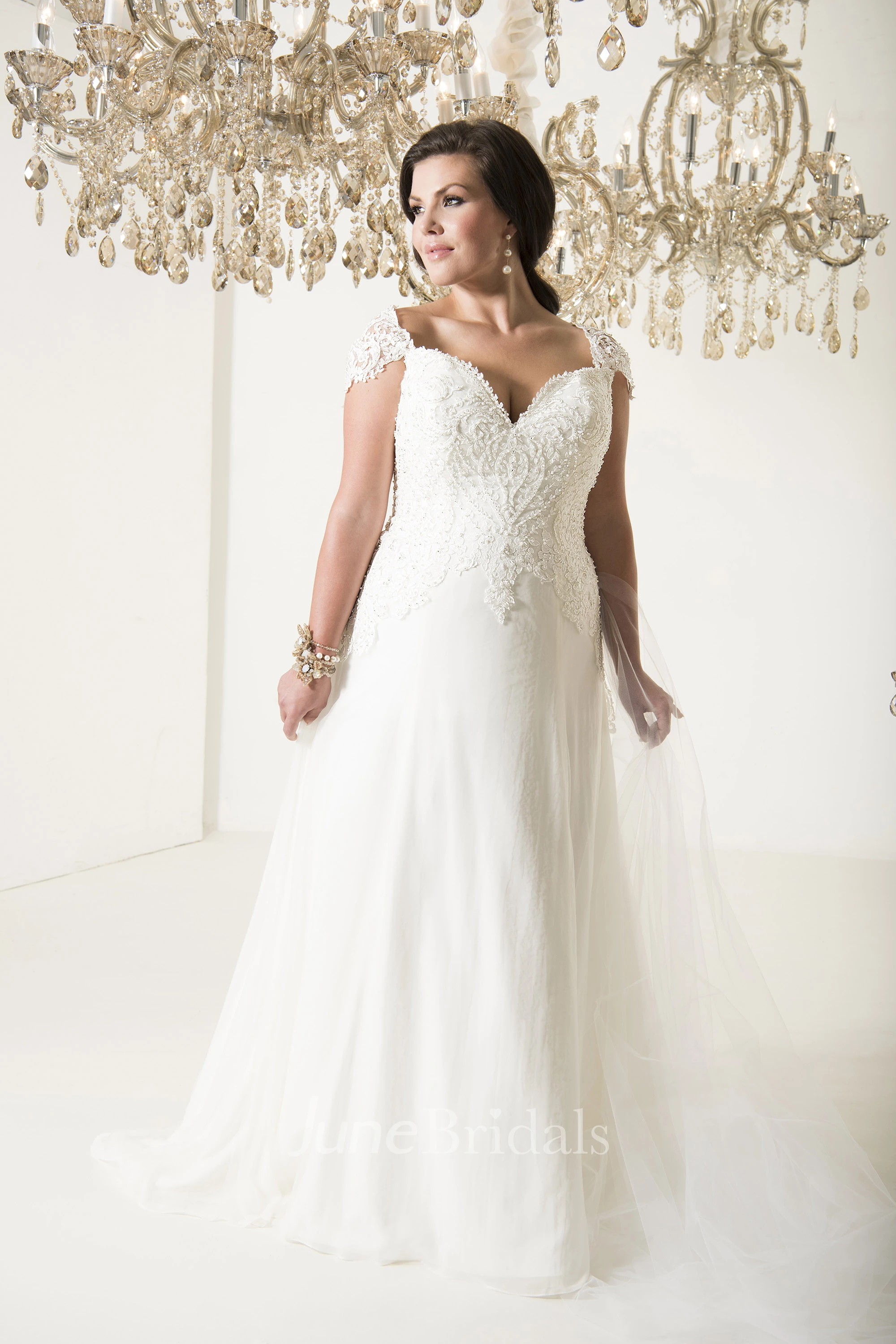 A-Line Long V-Neck Cap Tulle Chiffon Court Train Illusion Appliques Dress