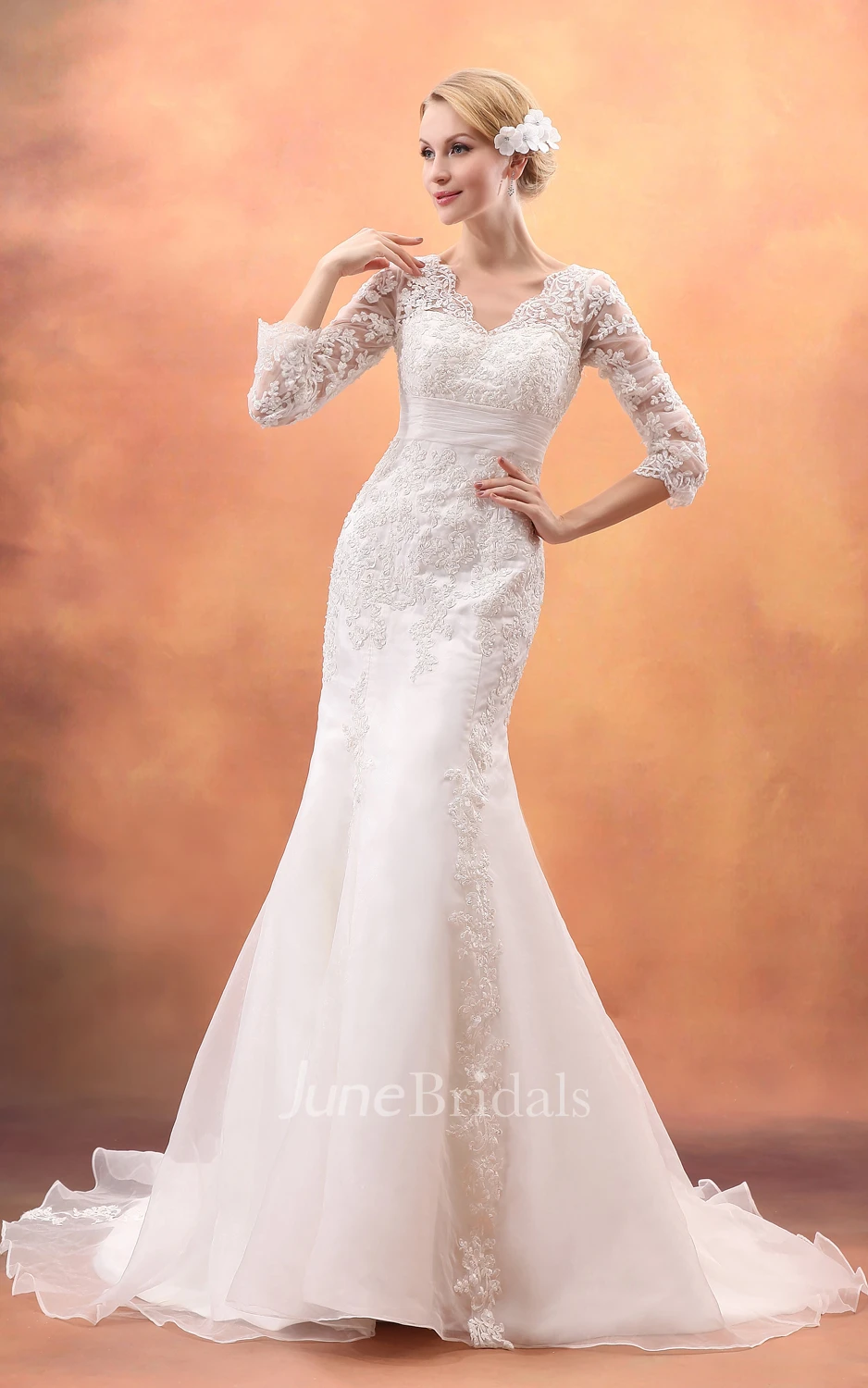 Impressive Siren Laced Half-Sleeve Gown With Brush Train