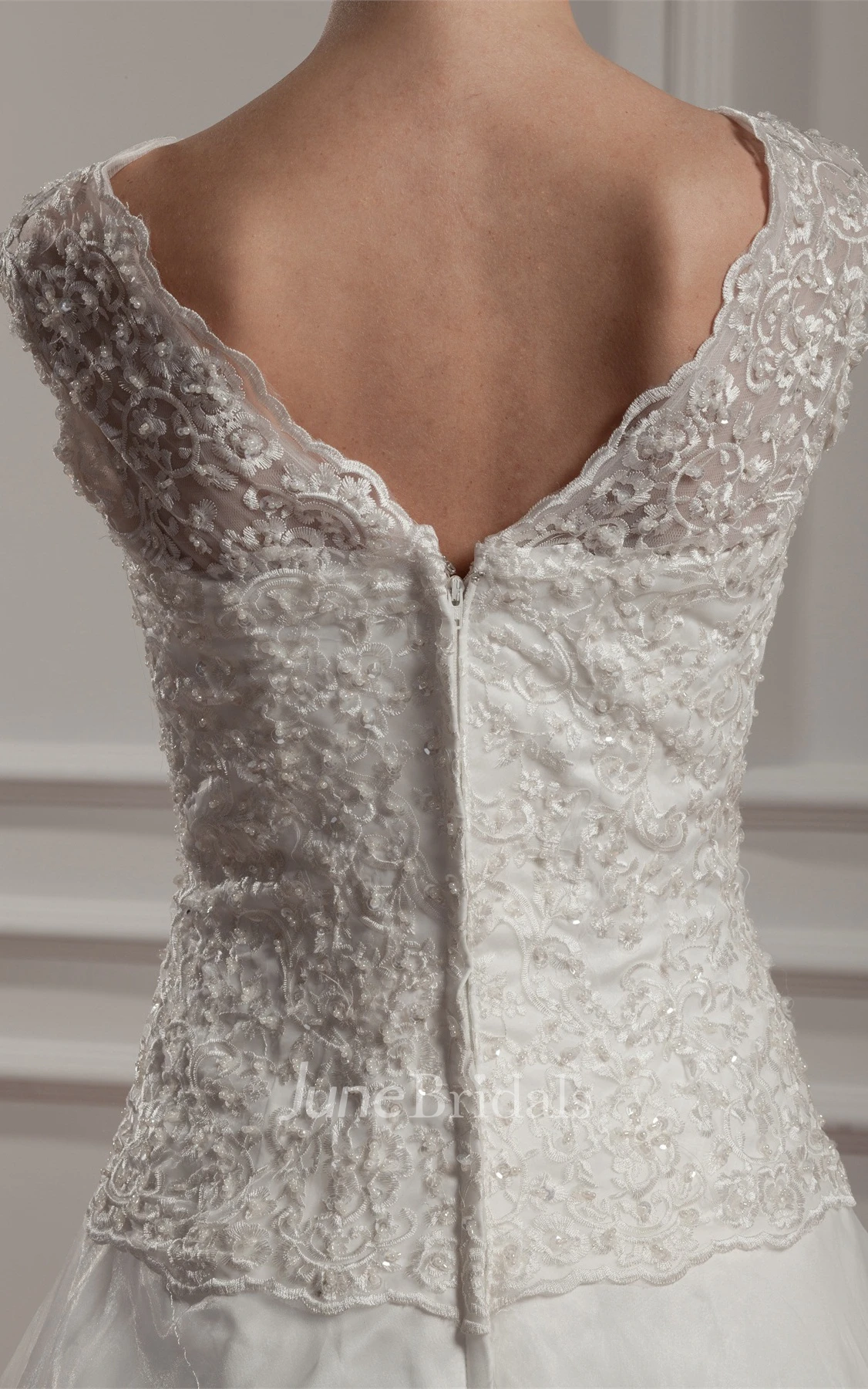 Caped-Sleeve Plunged A-Line Dress with Appliques and Pleats