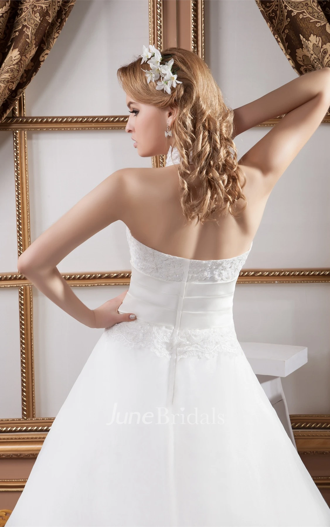 High-Neck Sleeveless A-Line Dress with Appliques and Fitted Waist