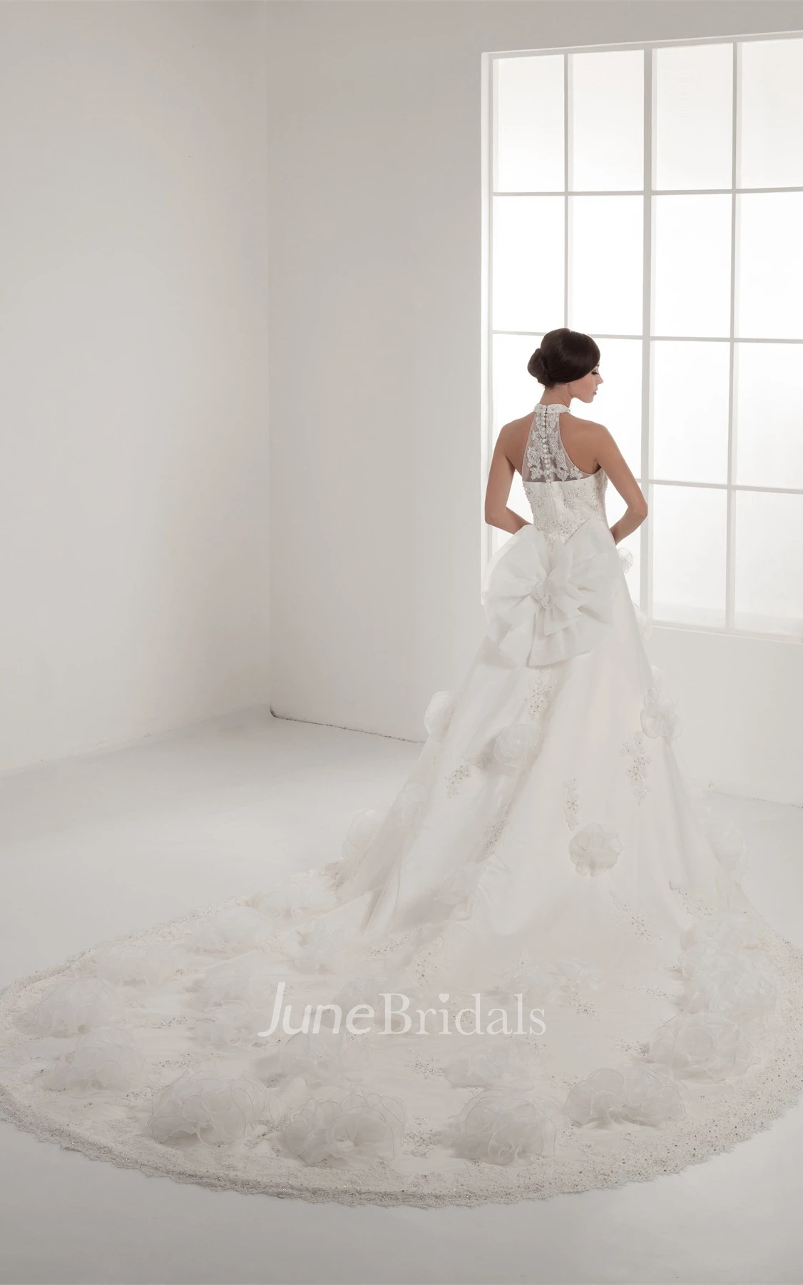 Floral Sleeveless Appliqued Ball Gown with Beading and Illusion
