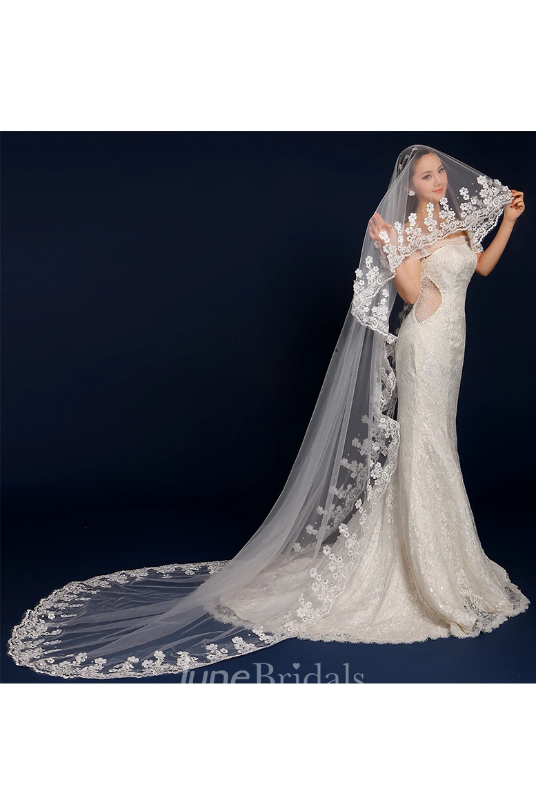 Long Tail Wedding Veil with Flowers Beading and Lace Edge