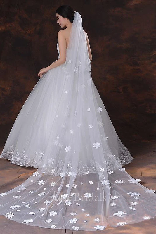 Latest Ethereal Style Cathedral Wedding Veil with Flower Appliques