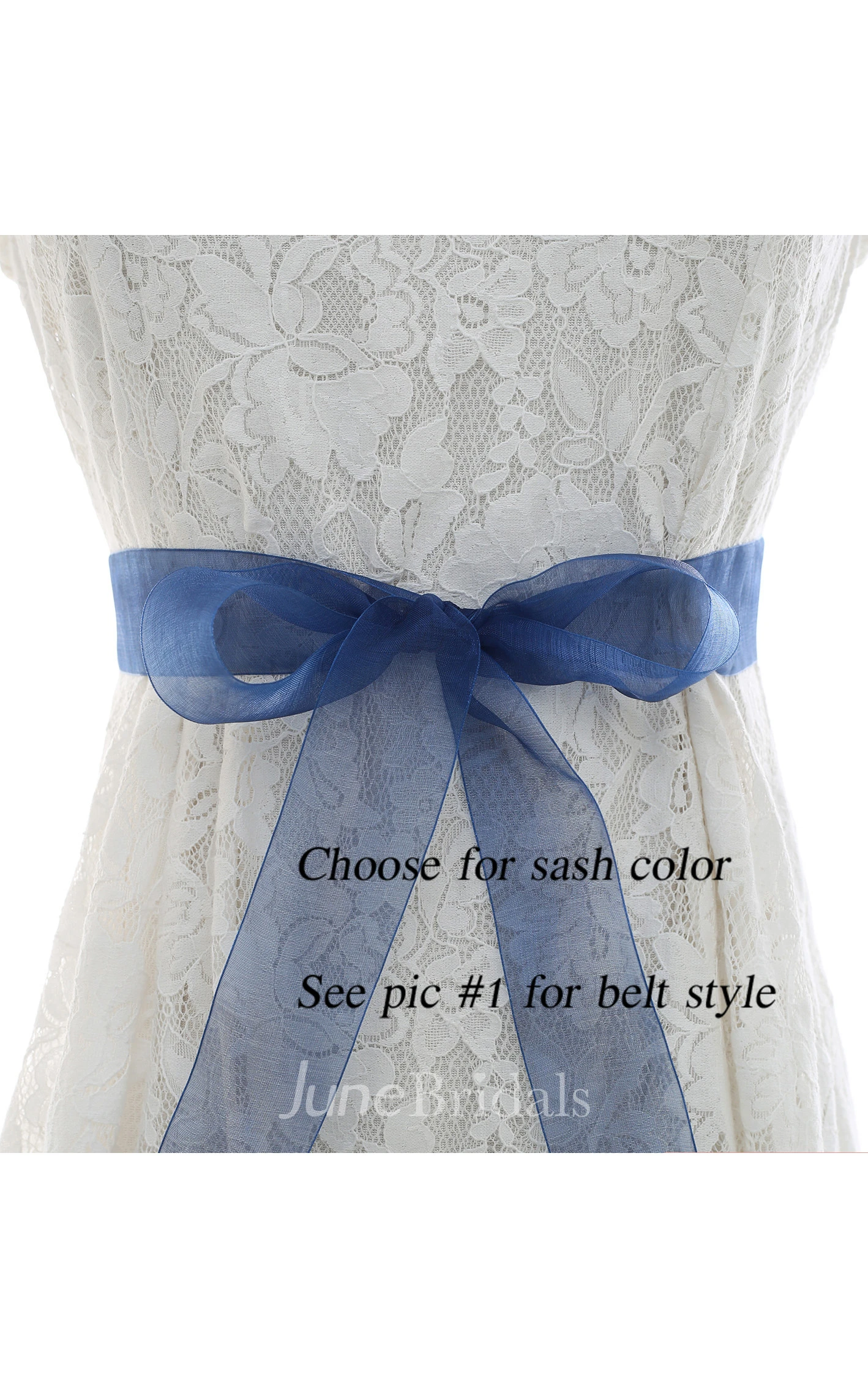 Bridal Crystal Appliqued Belt