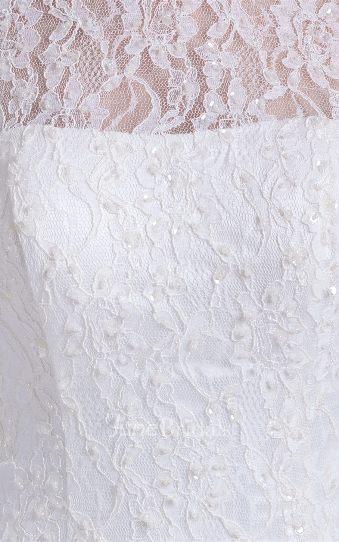 Lace Mermaid Pleated Dress with Illusion Neckline and Brush Train