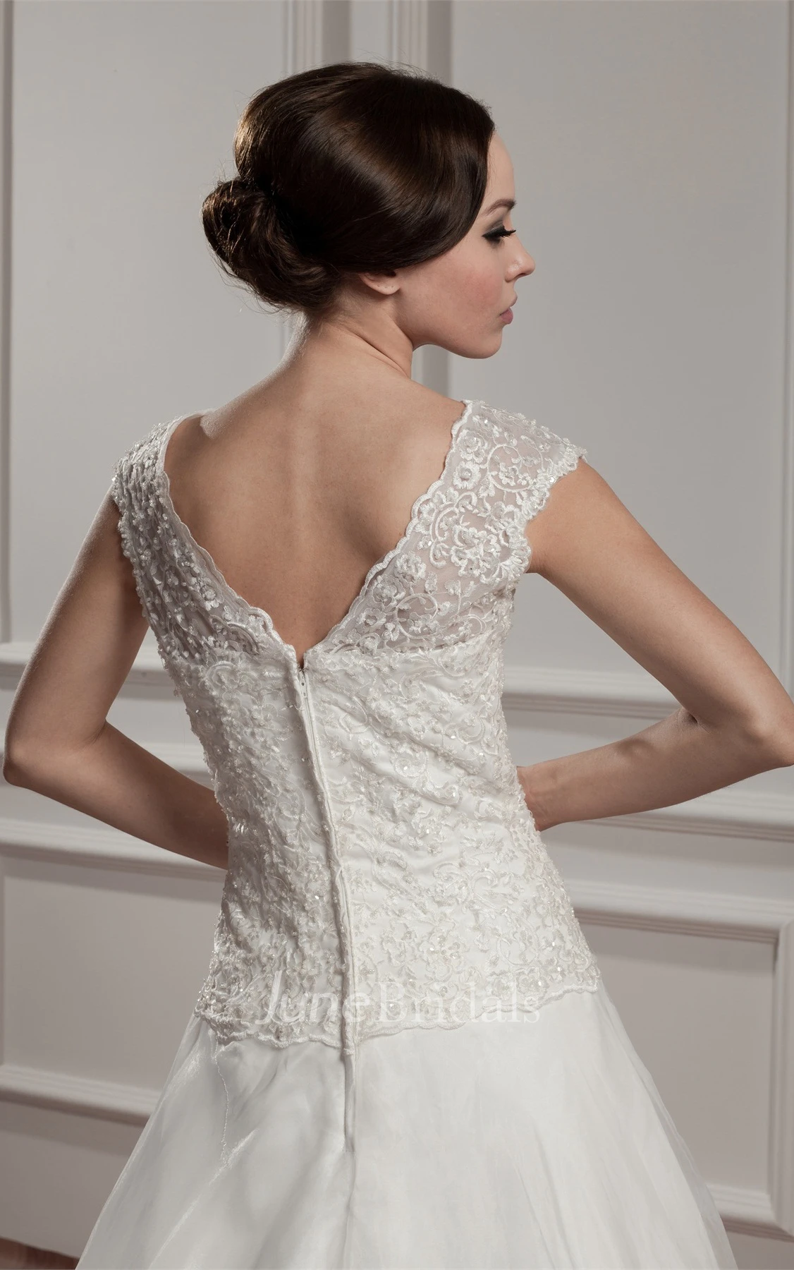 Caped-Sleeve Plunged A-Line Dress with Appliques and Pleats