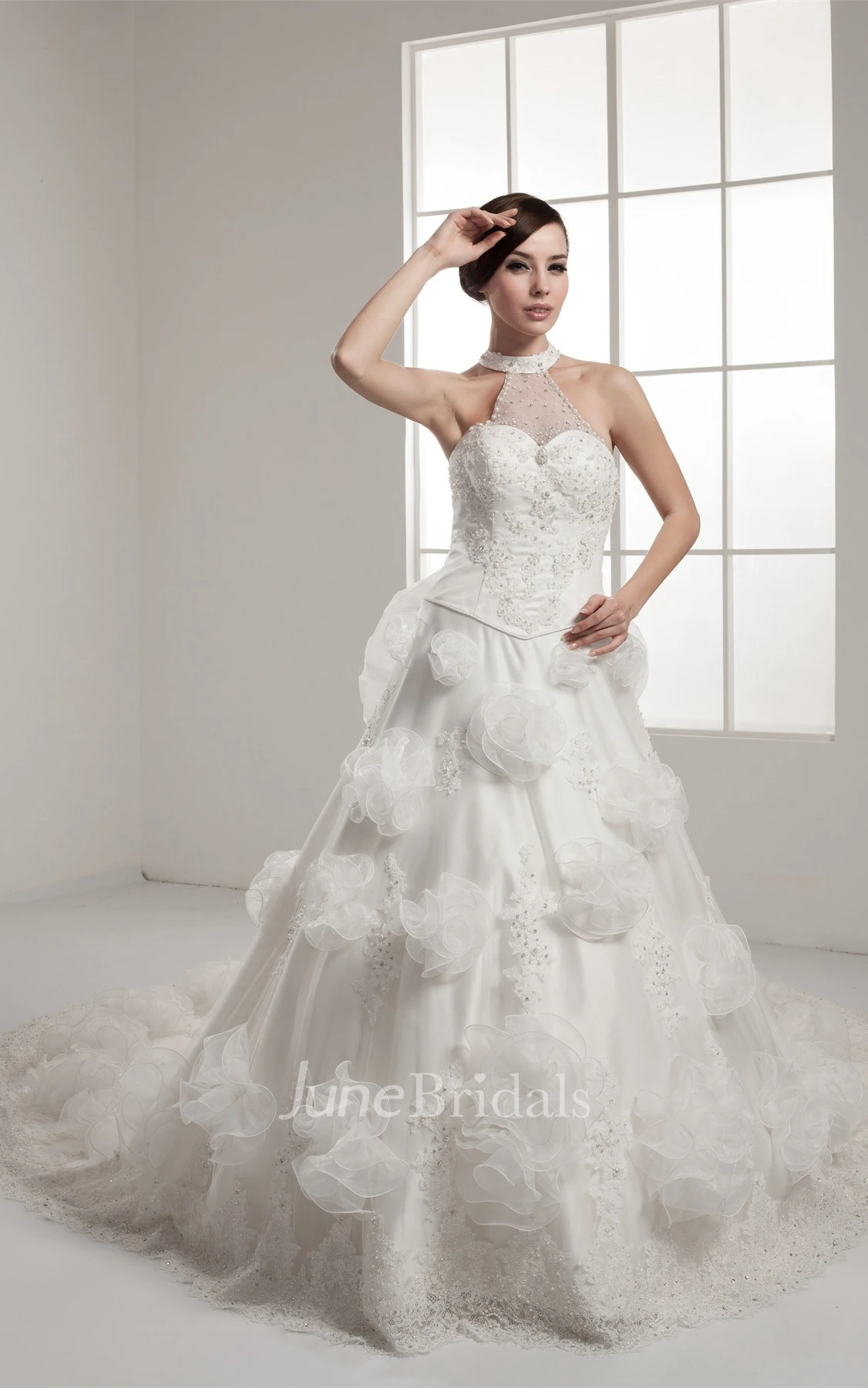 Floral Sleeveless Appliqued Ball Gown with Beading and Illusion