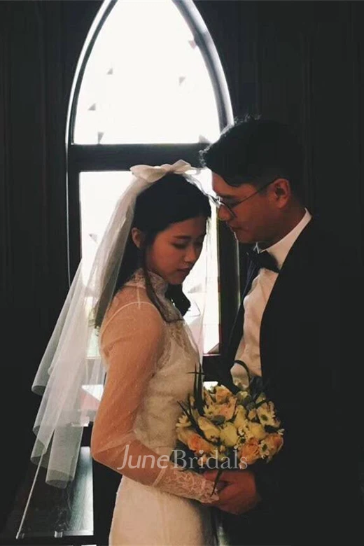 Simple Wedding Veil With Bow and Insert Comb