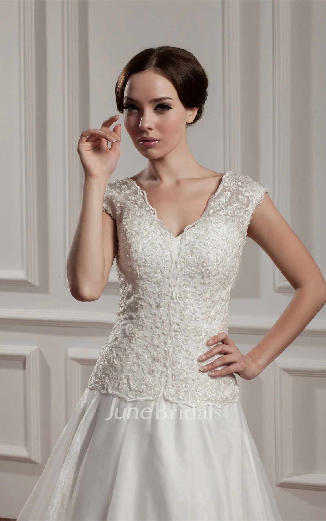 Caped-Sleeve Plunged A-Line Dress with Appliques and Pleats