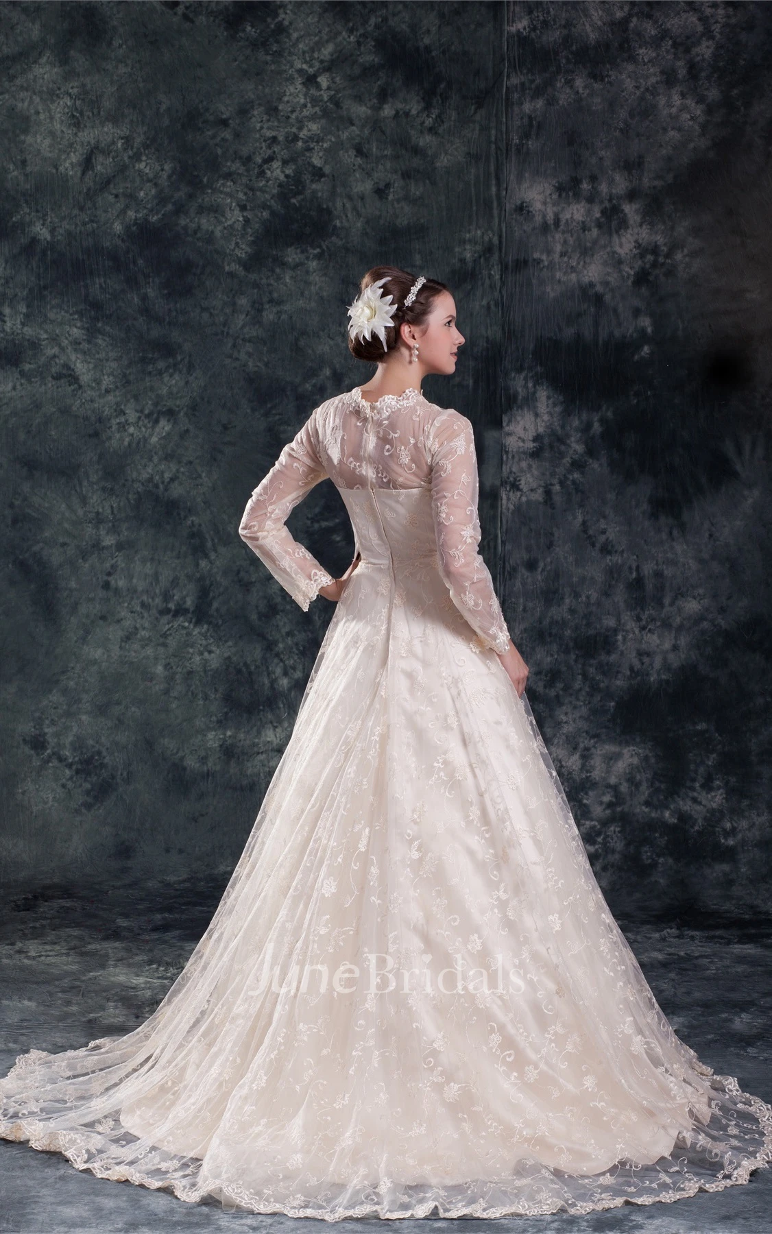 high-neck lace a-line long-sleeve dress with bow and tulle