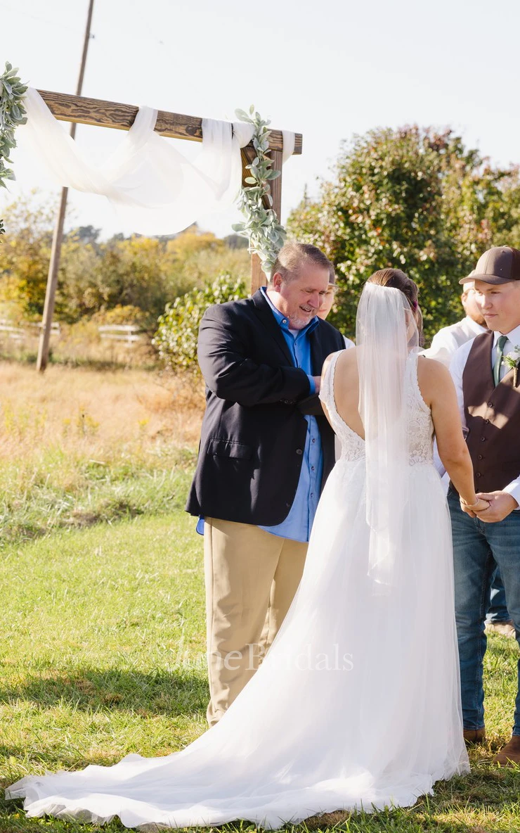Tulle Plunging Neckline A-Line Simple Sexy Spring Wedding Dress With Low-V Back And Appliques