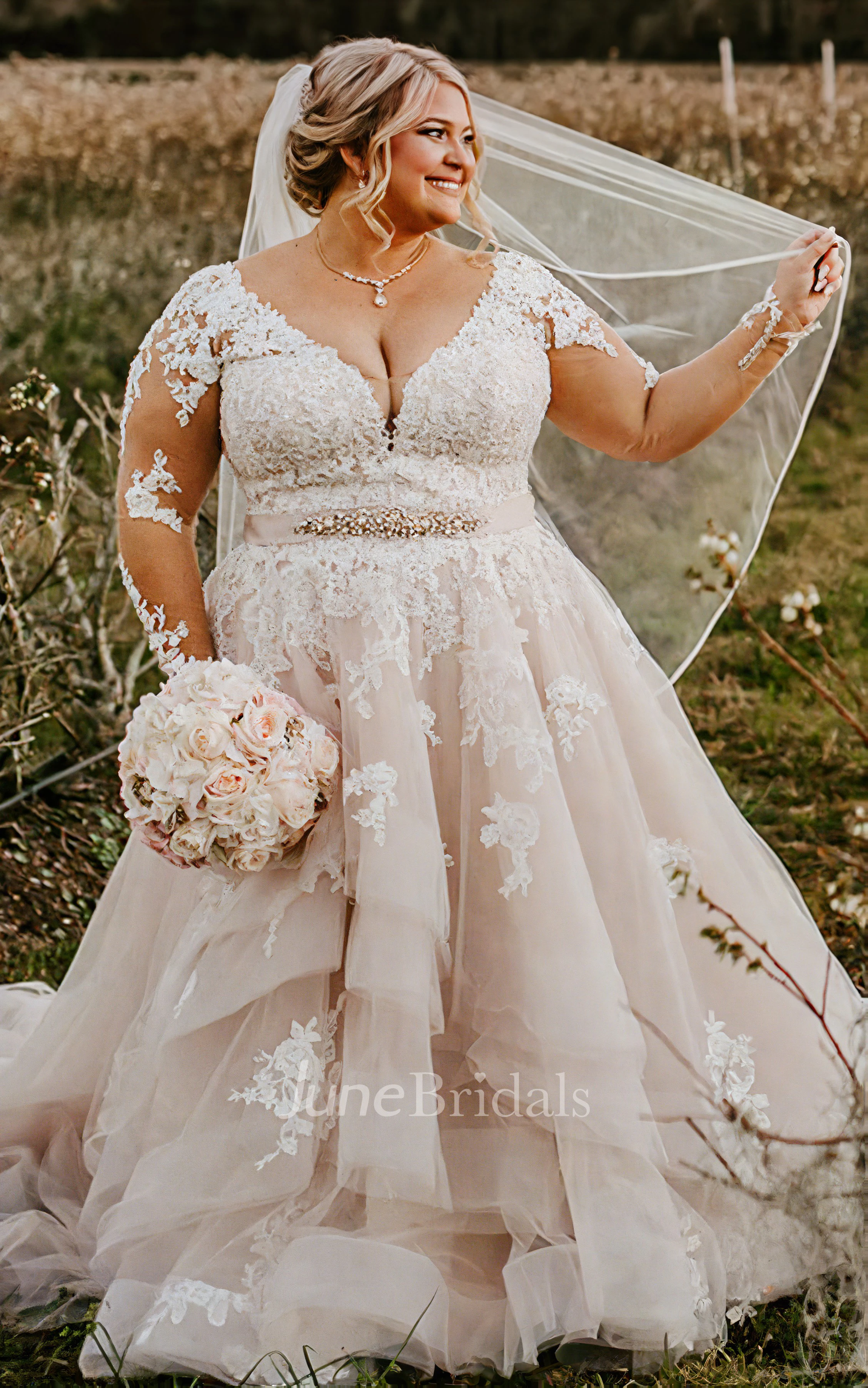 Plus Size Long Sleeve Ball Gown for Chubby Arms Elegant V-neck Boho Lace  A-Line Wedding Dress - June Bridals