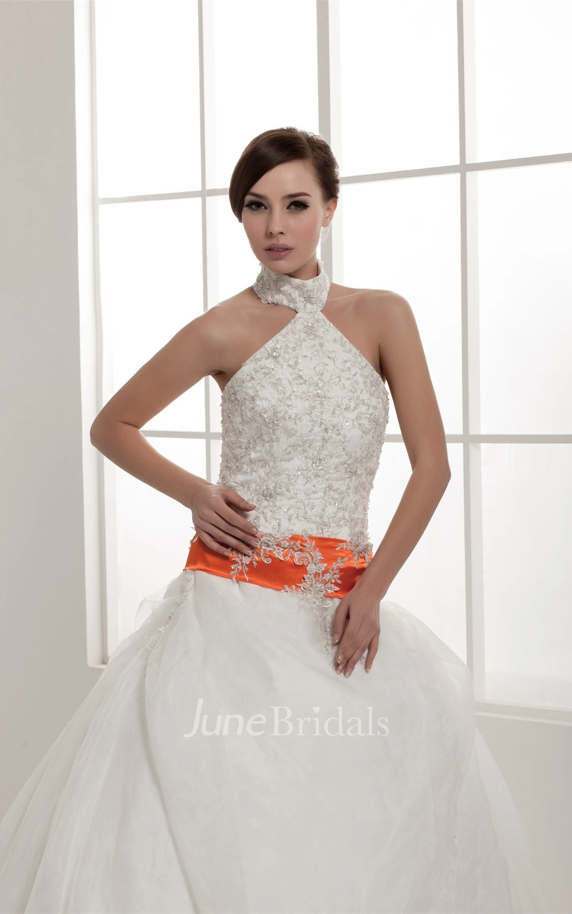 Sleeveless A-Line Pick-Up Gown with Collar and Appliques