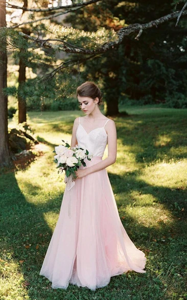 Two-Tone Spaghetti Tulle Dress With Low-V Back