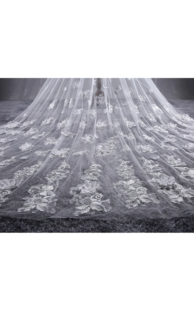 New Beautiful Long Tailed Bride Wedding Veil with Lace Flower