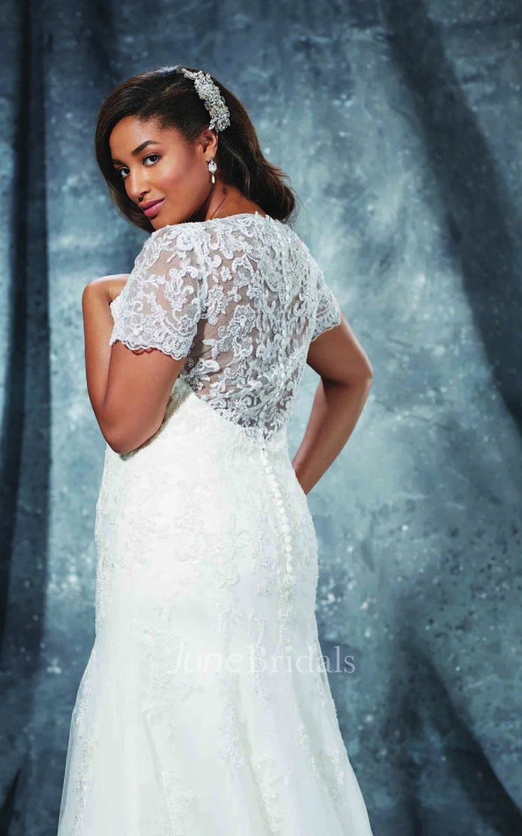 Delicate Short Sleeves Scoop Long Lace Wedding Dress Illusion Back