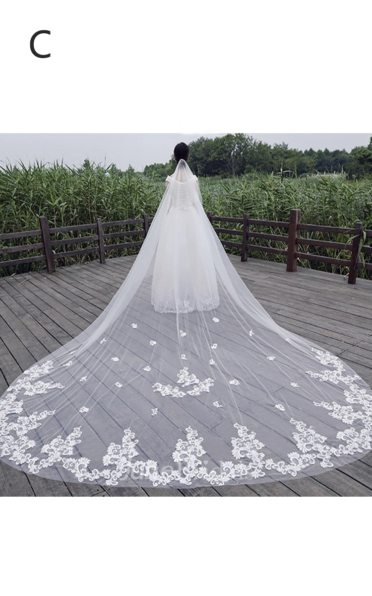 New Korean Ethereal Extra Long Tailed Wedding Veil with Lace Appliques