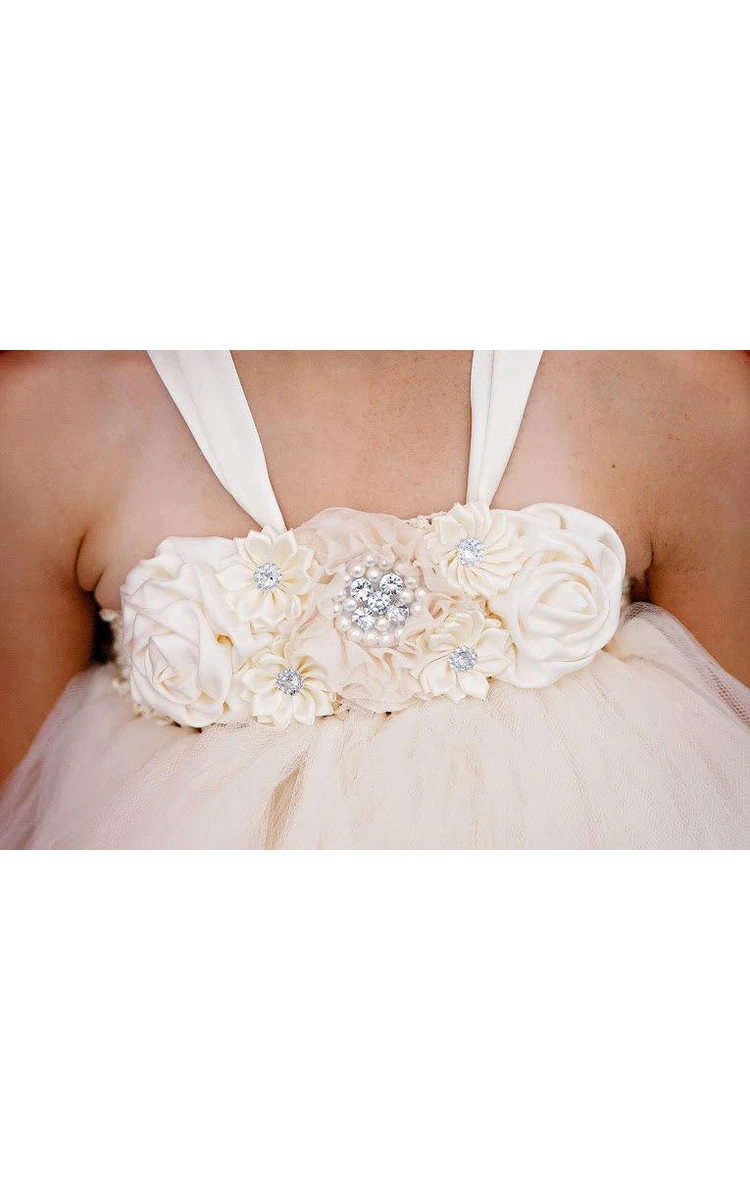 Ivory Flower Sleeveless Empire Waist Beaded Detailing Tulle Dress