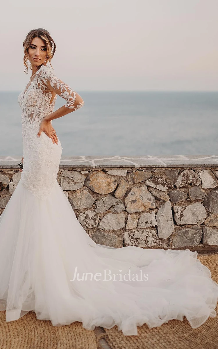 Organza Mermaid V-neck Simple Beach Wedding Dress With Appliques And Illusion Back