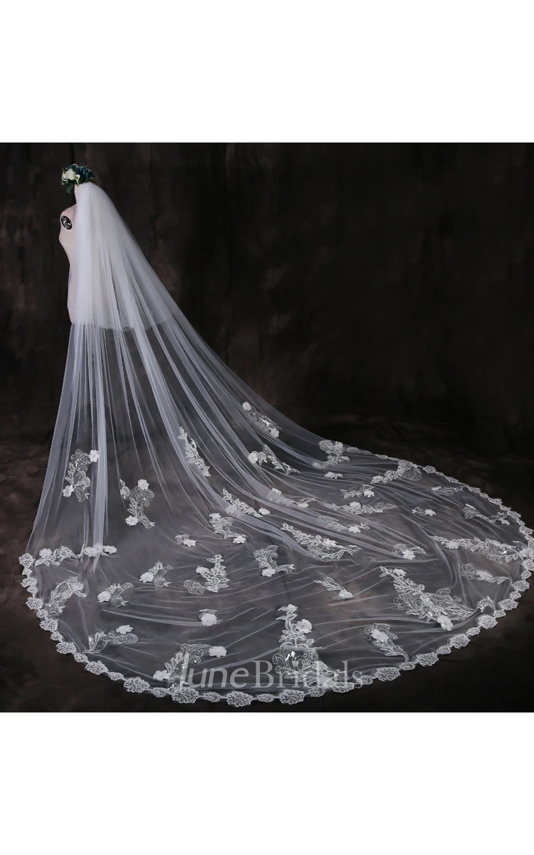 Ethereal Cathedral Tulle Wedding Veil with Lace Edge and Flower Appliques