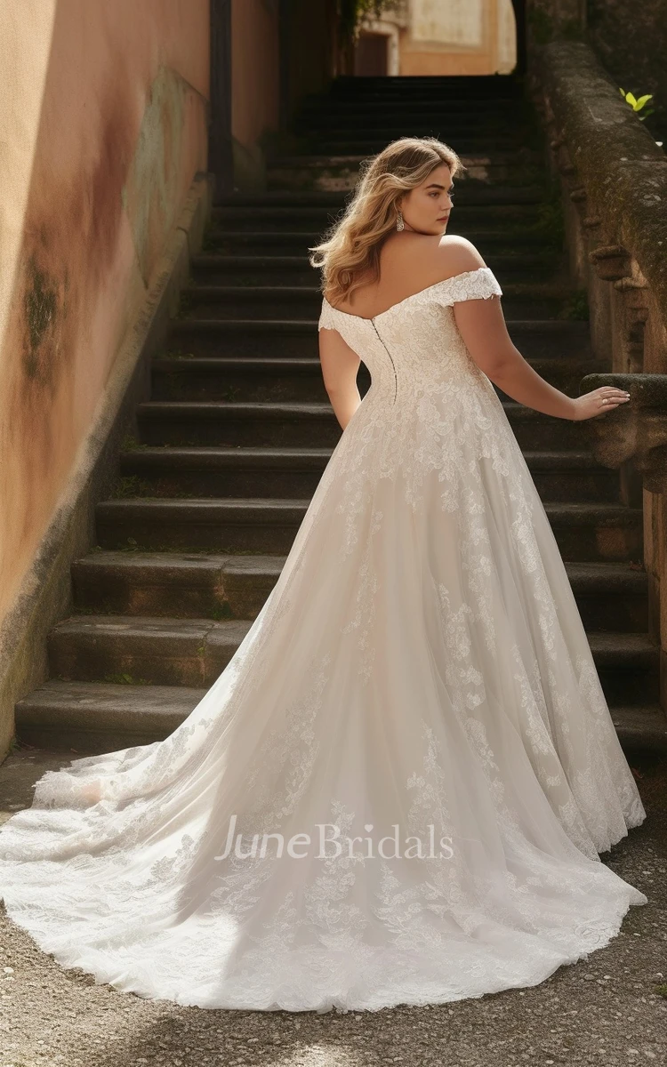 Plus Size A-Line Ball Gown Sleeveless Chiffon Lace Wedding Dress Off-the-shoulder Simple Sexy Elegant Romantic